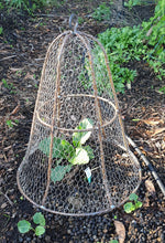 Load image into Gallery viewer, Bell Cloche