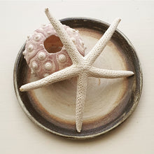 Load image into Gallery viewer, 'Coningham' Mini-Plates/coasters