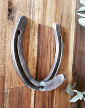 Load image into Gallery viewer, Genuine Horse Shoe Coat Hook