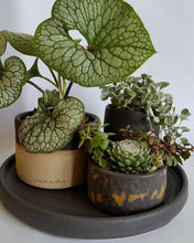 Load image into Gallery viewer, Multi- Planter Set